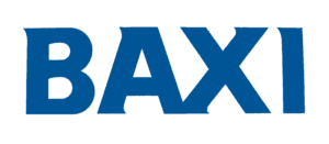 Gas fire servicing in Penarth living room